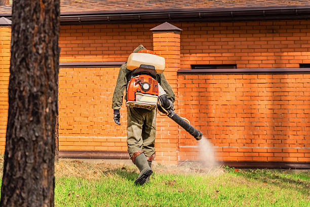 Trusted Ant Control service in Winter Springs, FL - Nex Pest Control